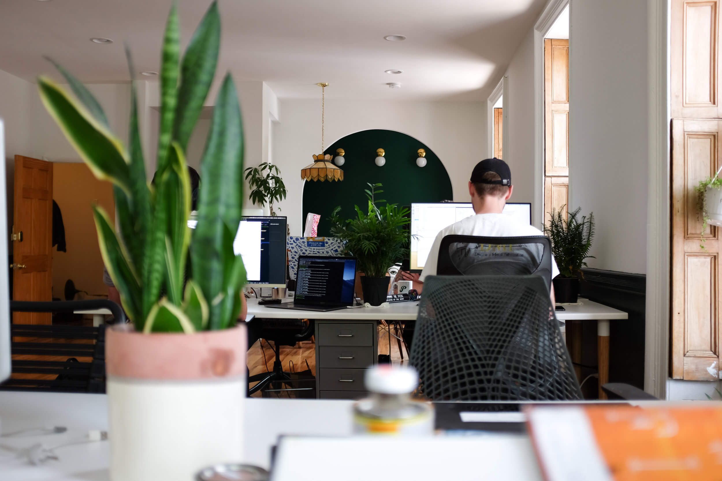 A hip programmer working at a desk with a snake plant in the foreground and an archway in the background